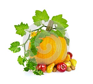 Still life of vegetable fruit and nut