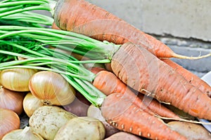 Still life of of vegetable Root crop