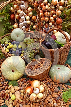 Still life with vegetables display