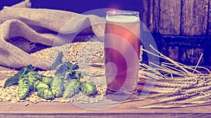 Still life with a vintage beer barrel and a glass of foamy beer. Green hops and golden barley on a wooden table. Ingredients for