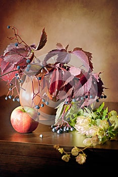 Still life in vintage style with wild grapes, apple, jug and hops on a wooden dark table.
