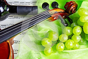 Still life with violin and wine