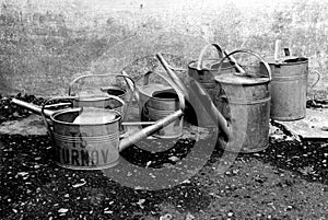 Still life with watering cans