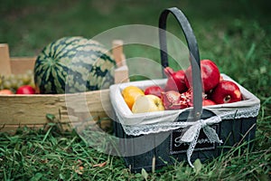 Still life with watermelon and pomegranates in a wooden box on the grass in the park in spring