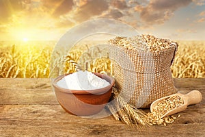 Still life of wheat and flour