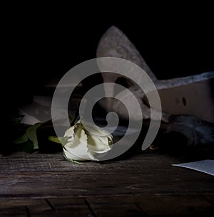 Still life. White beautiful shoes and a rosebud on a wooden floor. Dark background
