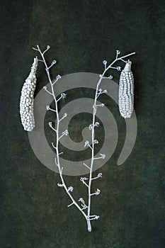 Still life with white corn on a white twig