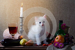 still life with white kitten pumpkin grapes dog rose green bottl