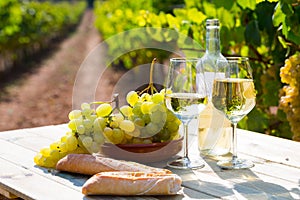 Still life with white wine, grapes and fresh bread in vineyards