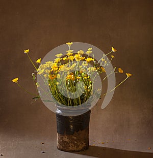 Still life with wild flowers, spring time