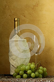 Still life of wine bottles