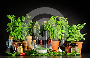 Still Life wit Cooking Ingredients, Herbs and Utensils