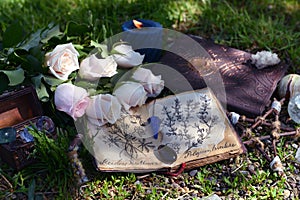 Still life with witch botanical diary, magic book of spell, roses and pentagram on the grass