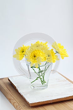 Still life with yellow chrysanthemums in a glass