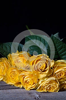 Still life with yellow withered roses on the black background