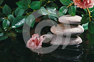 Still Life with Zen Stone, Candle and Plants in Water. Harmony, Relax and Health Care. Traditional Oriental Spa Concept