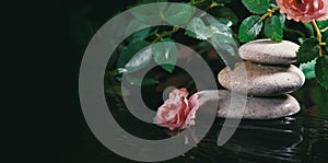 Still Life with Zen Stone, Candle and Plants in Water. Harmony, Relax and Health Care. Traditional Oriental Spa Concept