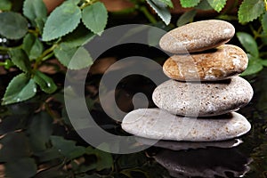 Still Life with Zen Stone and Plants in Water. Harmony, Relax and Health Care. Traditional Oriental Spa Concept
