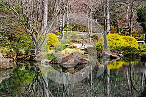 A still pond in a Japanese garden surrounded by lush green trees and plants and bare winter trees reflecting off the water