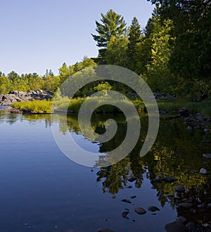 Still Shoreline in Green and Blue