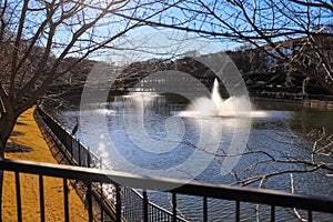 A still simmering lake with a water fountain and a gray great white heron bird standing on a black metal fence