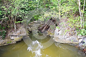Still Stagnant Polluted Water among Large Rocks with Fallen Trees in Forest