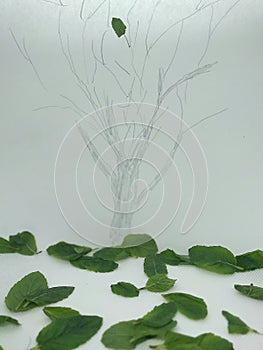 Still there is a hope