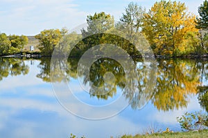 Still water reflections