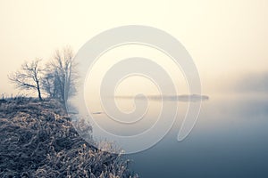 Still water and shore with leafless trees and fog obscure horizon; cool tones; copy space