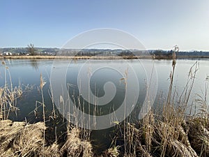 Stille Reuss or Stilli RÃÂ¼ss Stilli Ruess in the natural protection zone Aargau Reuss river plain / Naturschutzzone Auen photo