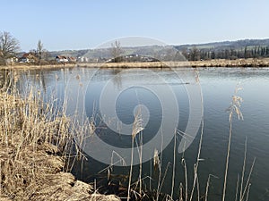 Stille Reuss or Stilli RÃÂ¼ss Stilli Ruess in the natural protection zone Aargau Reuss river plain / Naturschutzzone Auen photo