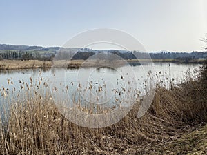 Stille Reuss or Stilli RÃÂ¼ss Stilli Ruess in the natural protection zone Aargau Reuss river plain / Naturschutzzone Auen photo