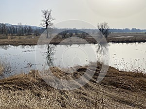 Stille Reuss or Stilli RÃÂ¼ss Stilli Ruess in the natural protection zone Aargau Reuss river plain / Naturschutzzone Auen photo