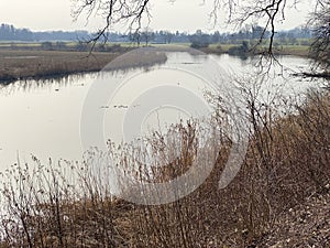 Stille Reuss or Stilli RÃÂ¼ss Stilli Ruess in the natural protection zone Aargau Reuss river plain / Naturschutzzone Auen photo