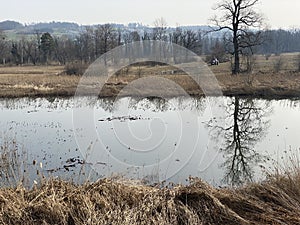 Stille Reuss or Stilli RÃÂ¼ss Stilli Ruess in the natural protection zone Aargau Reuss river plain / Naturschutzzone Auen photo