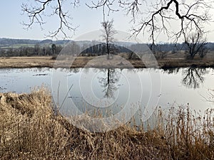 Stille Reuss or Stilli RÃÂ¼ss Stilli Ruess in the natural protection zone Aargau Reuss river plain / Naturschutzzone Auen photo