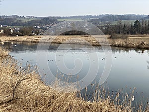 Stille Reuss or Stilli RÃÂ¼ss Stilli Ruess in the natural protection zone Aargau Reuss river plain / Naturschutzzone Auen photo