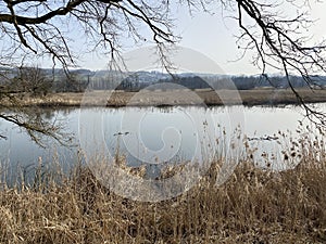 Stille Reuss or Stilli RÃÂ¼ss Stilli Ruess in the natural protection zone Aargau Reuss river plain / Naturschutzzone Auen photo