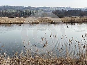 Stille Reuss or Stilli RÃÂ¼ss Stilli Ruess in the natural protection zone Aargau Reuss river plain / Naturschutzzone Auen photo