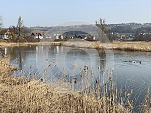 Stille Reuss or Stilli RÃÂ¼ss Stilli Ruess in the natural protection zone Aargau Reuss river plain / Naturschutzzone Auen photo