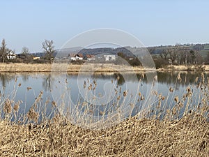 Stille Reuss or Stilli RÃÂ¼ss Stilli Ruess in the natural protection zone Aargau Reuss river plain / Naturschutzzone Auen photo