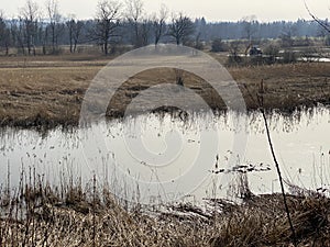 Stille Reuss or Stilli RÃ¼ss Stilli Ruess in the natural protection zone Aargau Reuss river plain / Naturschutzzone Auen