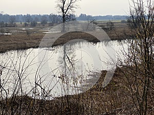 Stille Reuss or Stilli RÃ¼ss Stilli Ruess in the natural protection zone Aargau Reuss river plain / Naturschutzzone Auen