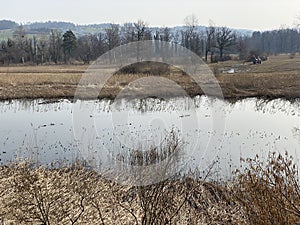 Stille Reuss or Stilli RÃ¼ss Stilli Ruess in the natural protection zone Aargau Reuss river plain / Naturschutzzone Auen