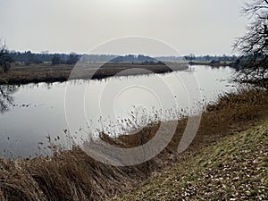 Stille Reuss or Stilli RÃ¼ss Stilli Ruess in the natural protection zone Aargau Reuss river plain / Naturschutzzone Auen