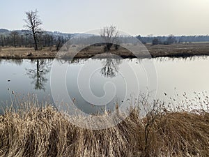 Stille Reuss or Stilli RÃ¼ss Stilli Ruess in the natural protection zone Aargau Reuss river plain / Naturschutzzone Auen