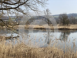 Stille Reuss or Stilli RÃ¼ss Stilli Ruess in the natural protection zone Aargau Reuss river plain / Naturschutzzone Auen
