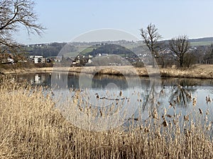 Stille Reuss or Stilli RÃ¼ss Stilli Ruess in the natural protection zone Aargau Reuss river plain / Naturschutzzone Auen