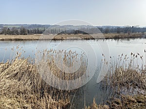 Stille Reuss or Stilli RÃ¼ss Stilli Ruess in the natural protection zone Aargau Reuss river plain / Naturschutzzone Auen