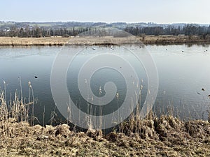 Stille Reuss or Stilli RÃ¼ss Stilli Ruess in the natural protection zone Aargau Reuss river plain / Naturschutzzone Auen